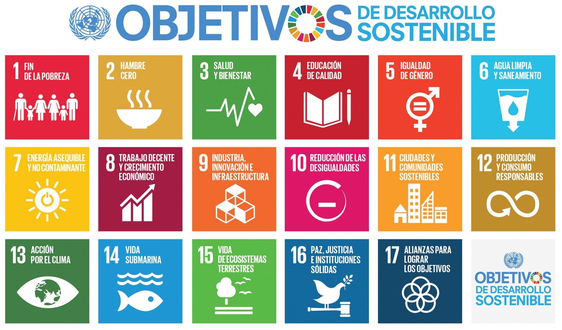 desarrollo
